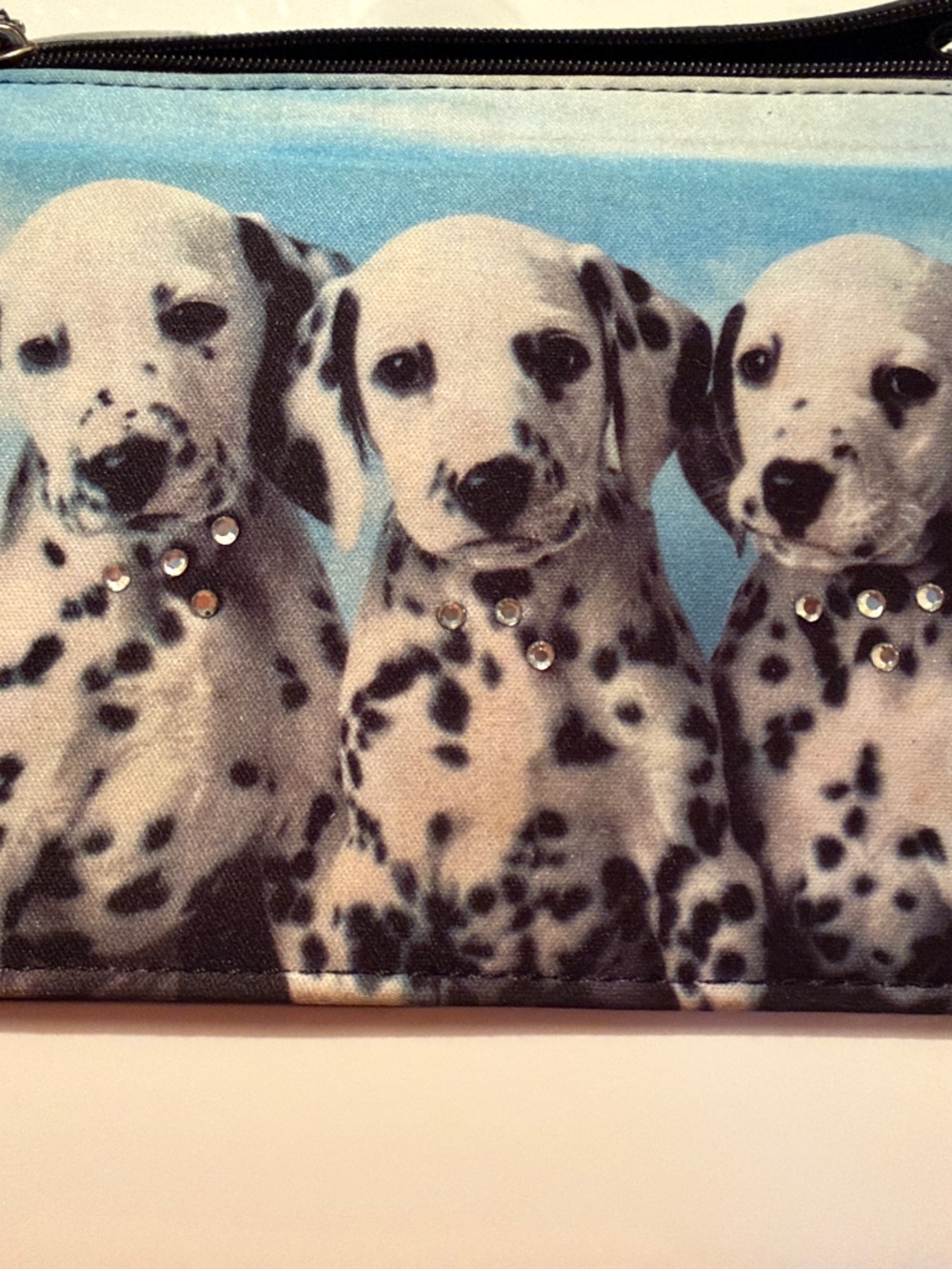 Dalmatian Trio Wallet Pouch in Blue and White